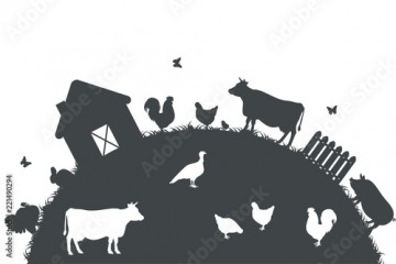 Ферма с животными