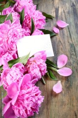 Pink peonies and card.