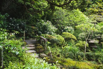 Japanese Garden at the Hokokuji Tempel in Kamakura