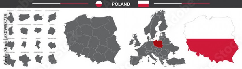 political vector map of Poland on white background