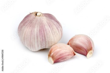 Garlic head close-up