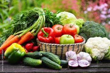 Variety of fresh organic vegetables in the garden