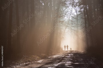 Biegająca para ludzi z psem w mglistym lesie