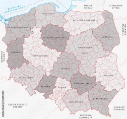 Vector map of Poland administrative division vol.3