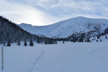 piękny widok na zaśnieżone góry