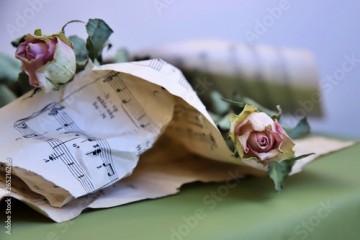 róża, muzyka