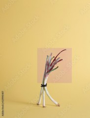 white spring onion on a yellow and orange background