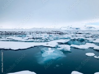 Kry w lagunie lodowcowej Jökulsárlón na Islandii
