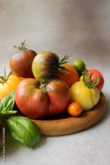 tomatoes multicolored on a wooden plate close-up with a sprig of basil on a gray background selective focus