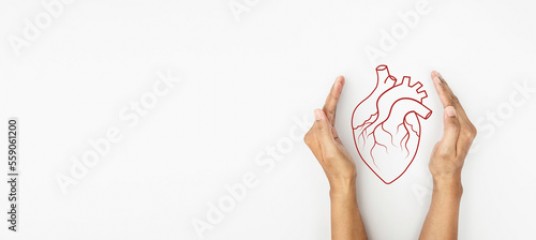 Hand hold red line heart organ, heart disease awareness campaign, cardiovascular health, Stroke Prevention, hypertension (high blood pressure) for heart disease concept