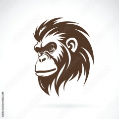Vector of an orangutan head on white background. Wild Animals. Easy editable layered vector illustration.