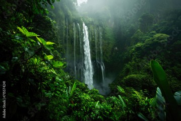 Hidden Gem: Spectacular Waterfall in Dense Foliage