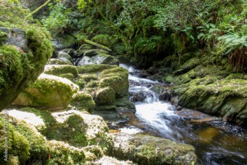 The Torc Waterfall in the Killarney National Park in County Kerry - Ireland