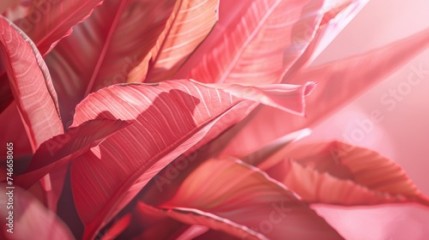 Detailed view of a plant with vibrant red leaves, ideal for botanical designs