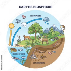 Earth biosphere with atmosphere, hydrosphere and lithosphere outline diagram. Labeled educational scheme with nature water cycle and biological precipitation cycle in ecosystem vector illustration.