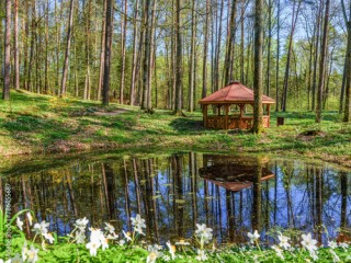 Wiosna w arboretum w Kudypach.