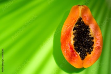 Papaya fruit on tropical green background with shadows of palm tree. Halved fresh organic Papaya exotic fruit close up. Top view