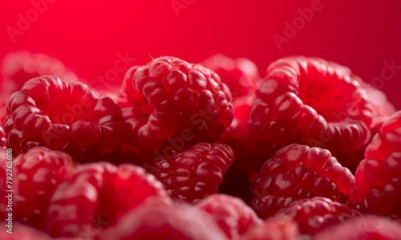 Raspberry fresh berries closeup, ripe fresh organic Raspberries over red background, macro shot. Harvest concept