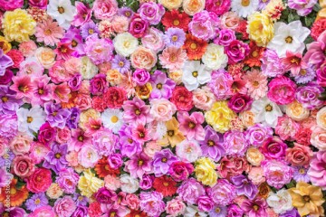 Ściana kwiatów