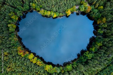 Heart - shaped lake in the green forest. Bird's eye view of the blue water and treetops in a daylight.