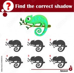 Educational game for children. Find the correct shadow. Cute chameleon