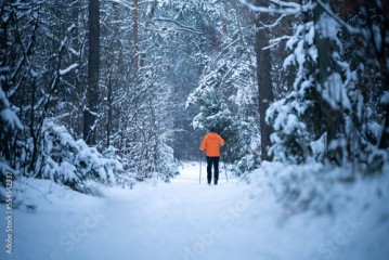 Człowiek na nartach biegowych w zimowym lesie