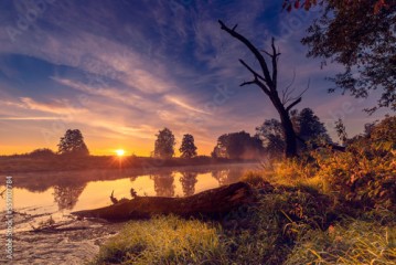 Wschód słońca nad dziką rzeką w Polsce