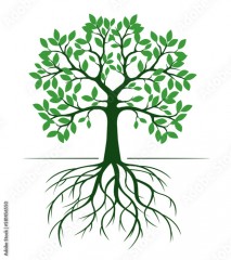 Green tree isolated with Roots on white. Vector Illustration.