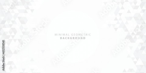 Gray White Polygon Mosaic Background, modern, business and corporate background. Vector