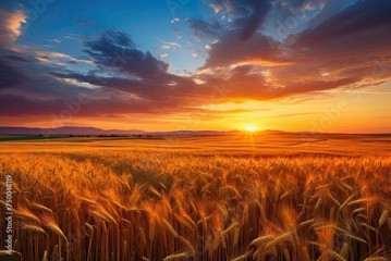 Summer Sunrise over Colourful Fields. Beautiful Landscape View of Rural Nature with Sun Rising in the Vibrant Sky