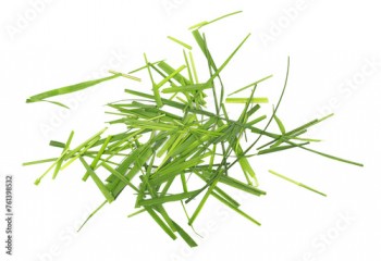 Fresh green cut wild grass isolated on white background and texture, top view 