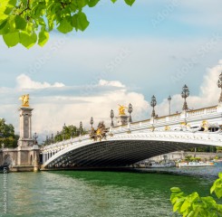 View of Pont Alexandre III in Paris