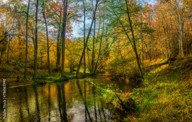Jesień nad rzeką Łyną.