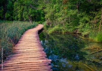 Wooden walkpath in Plitvice National Park. Calm summer scene of green forest with pure water lake. Captivating landscape of Croatia, Europe. Beauty of nature concept background.