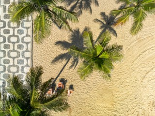 Aerial top down view of palm trees on Ipanema Beach with famous mosaic boardwalk